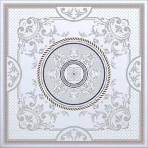 Gạch lát sàn Trường Thịnh GENESIS SERIES TT66915D